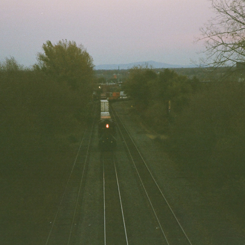 Colour print: a train moving on a railroad and beautiful trees can be observed on both ends of the train